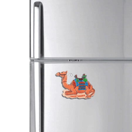 مغناطيس ثلاجة