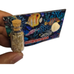 مغناطيس ثلاجة ريزن شكل اسماك مستطيل - FRM002
